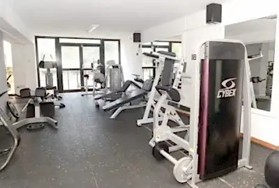 cybex hammer strength equipment