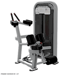 IMPACT Kneeling Leg Curl IMPACT Kneeling Leg Curl