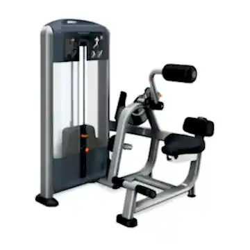 PRECOR BACK EXTENSION DSL0313 PRECOR BACK EXTENSION DSL0313