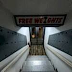 Free weights basement
